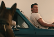 Dog Channing Tatum Dog