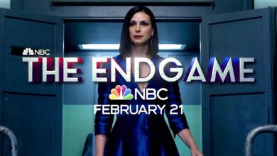 The Endgame Tv Show Poster Banner