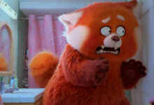 Red Panda In Bathroom