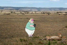 Chris Boni Wildebeest