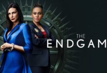 The Endgame Tv Show Poster Banner