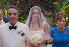 Andy Garcia Adria Arjona Gloria Estefan Father Of The Bride