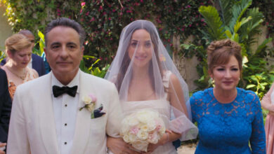 Andy Garcia Adria Arjona Gloria Estefan Father Of The Bride