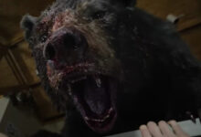 Coked Up Bear Cocaine Bear
