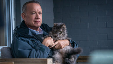Tom Hanks Cat A Man Called Otto