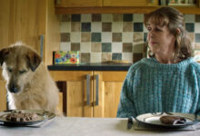 Brid Ni Neachtain Dog Dinner Table Roise And Frank