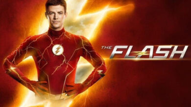 The Flash Season Nine Tv Show Poster Banner