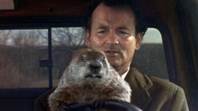 Bill Murray Groundhog Groundhog Day