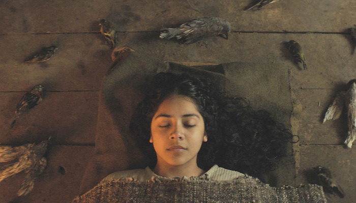 Phê bình phim: PHÉP THUẬT: Valentina Véliz Caileo mang đến một màn trình diễn hấp dẫn trong một bộ phim đen tối và thê lương [Sundance 2023]