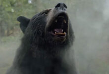 Cocaine Bear