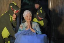 Lisa Lu The Disappearance Of Mrs Wu