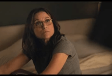 Julia Louis Dreyfus You Hurt My Feelings