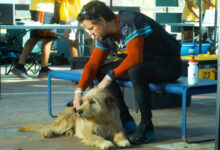 Mark Wahlberg Mikael Lindnord Dog Arthur The King
