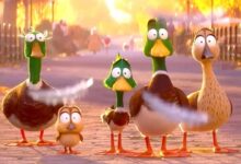 Mallards Migration