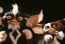 Stripe Gizmo Gremlins The New Batch