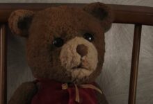 Chauncey The Bear Imaginary