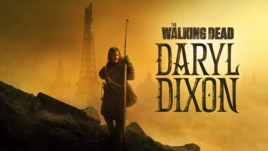The Walking Dead Daryl Dixon