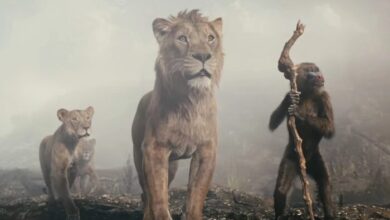 Mufasa The Lion King