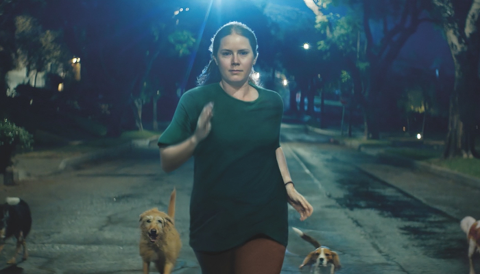 Amy Adams Nightbitch
