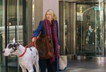 Bing Naomi Watts The Friend