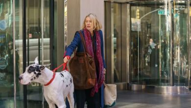 Bing Naomi Watts The Friend