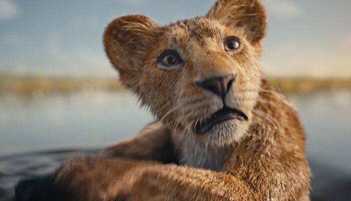 Mufasa The Lion King