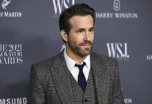 Ryan Reynolds Animal Friends Warner Brothers Box Office Film News