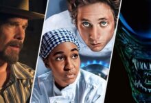 The Bear Alien Earth The Lowdown Tv Show Posters