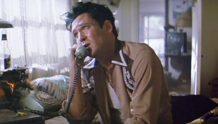 Michael Madsen Thelma And Louise