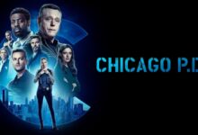 Chicago Pd Tv Show Poster