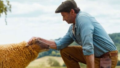 THE SHEEP DETECTIVES (2026) Movie Trailer 2: Shepherd Hugh Jackman's Murder Sparks His Herd into Action