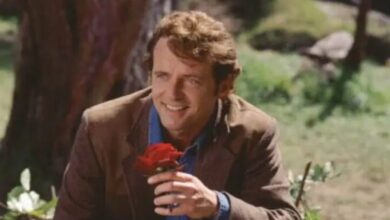 PRACTICAL MAGIC 2 (2026): Aidan Quinn Not Returning for Eagerly Awaited Witch Sequel