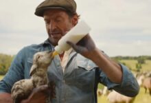 Film Review: THE SHEEP DETECTIVES (2026): A Delightful and Enjoyable Movie That Exceeds Expectations