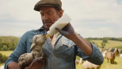 Film Review: THE SHEEP DETECTIVES (2026): A Delightful and Enjoyable Movie That Exceeds Expectations