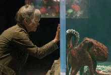 Film Review: REMARKABLY BRIGHT CREATURES (2026): Sally Field Shines in a Heartwarming Netflix Drama