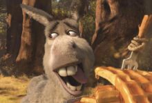 DONKEY (2028): New SHREK Spin-off Movie Solidifies Release Date for 2028