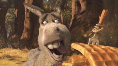 DONKEY (2028): New SHREK Spin-off Movie Solidifies Release Date for 2028
