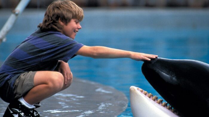 Warner Bros. Sets Out to Reboot 1993's Successful Family Film FREE WILLY